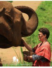Training in Thailand
