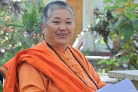 Swami Sitaramananda photos