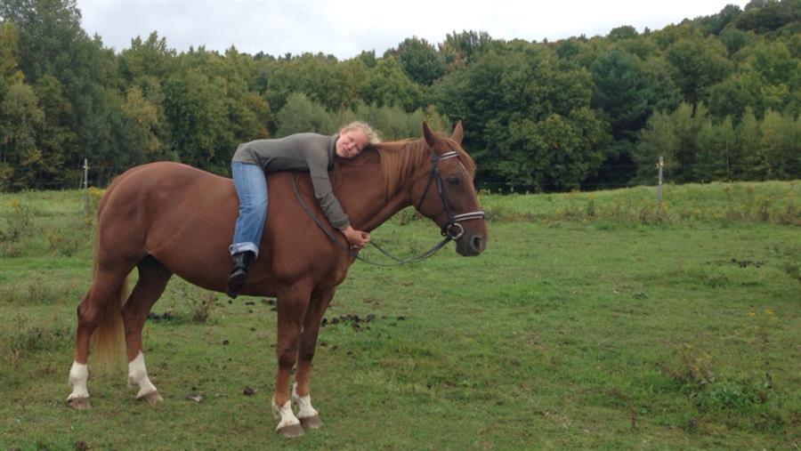 C-Phone 10.15.14 504.png