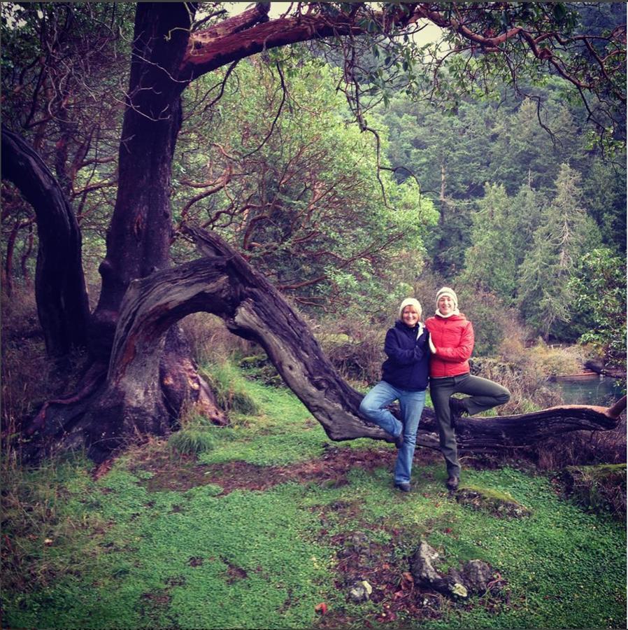 Orcas Island Trees