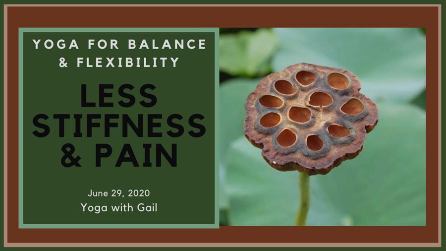 Yoga with Gail through Zoom Online Classes