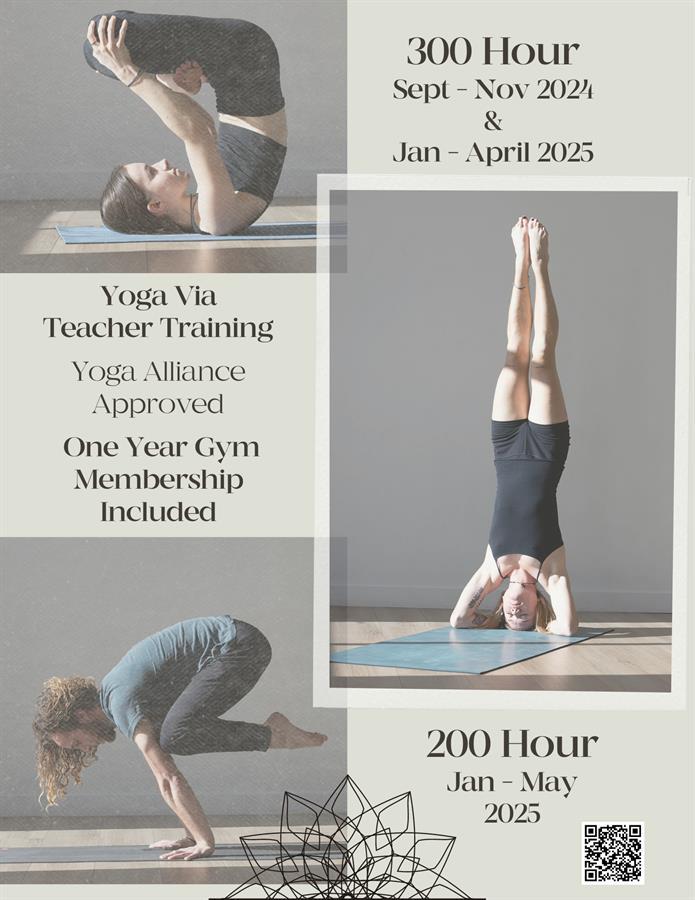 300 200 TT poster.png