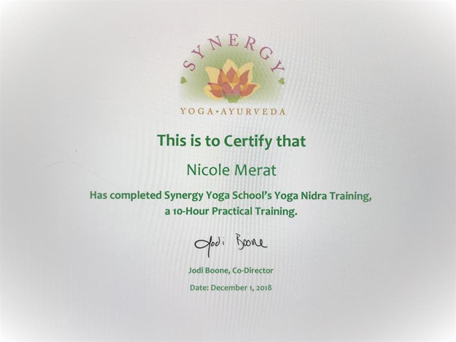 Yoga Nidra - Synergy Yoga School - 2018