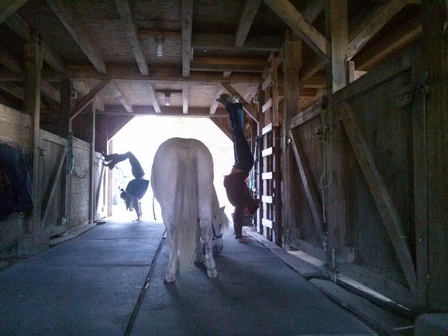 C-Phone 10.15.14 696